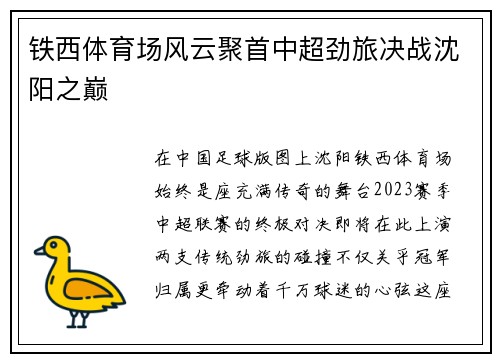 铁西体育场风云聚首中超劲旅决战沈阳之巅